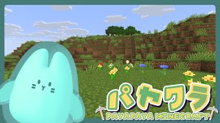 【MINECRAFT】チルマイクラタイム【#パヤクラ】
