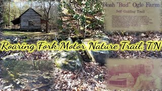 Come Explore With Us  Roaring Fork Motor Nature Trail, Tennessee