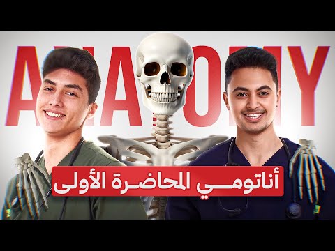 علم التشريح المحاضرة الاولى     
