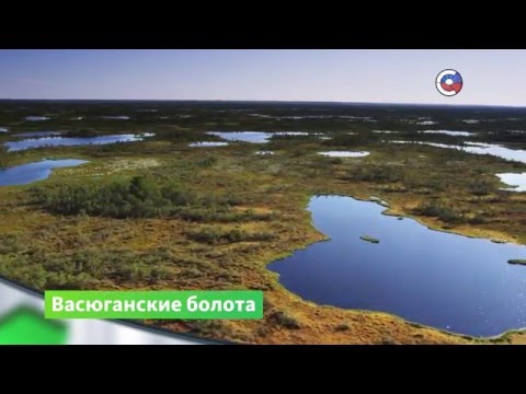Васюганские болота  | Природа | Телеканал "Страна"