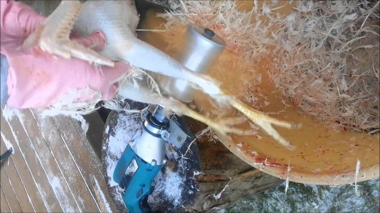 Benefischl 20 STÜCKE Pappeierkartons, Leeres Papier, Zellstoff-Eierkartons, EIN Dutzend Eierkartons, BehäLter, Leer, Eierablage, Zellstoff-Eierhalter