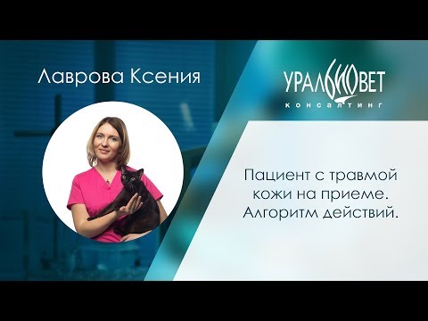 Пациент с травмой кожи на приеме. Алгоритм действий. Лаврова Ксения #убвк_хирургия