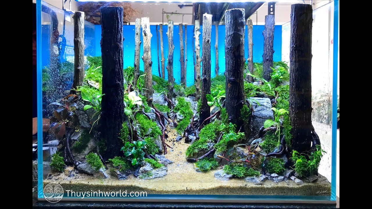 Cách vào cây rêu layout rừng 644 - YouTube