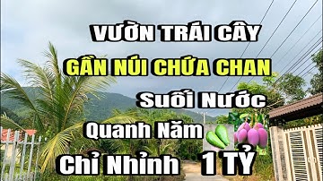 Chính chủ bán gấp, vườn trái cây, thổ cư, Suối nước quanh năm, gần núi chứa chan, xuân Lộc, Đồng Nai