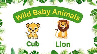 Wild Baby Animals Names & Sounds 🐾 | Guess the Baby Animal Quiz for Kids | Animal Learning screenshot 3