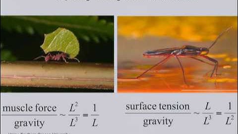Some Advances in Nanotechnology at Berkeley