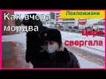 О событиях 31 января в Саранске