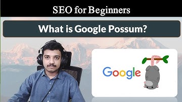 What is Google Possum in SEO