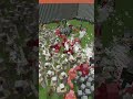 【マイクラ】アイアンゴーレム100体とヴィンディケーター100体を戦わせてみた結果!?? #minecraft #マインクラフト