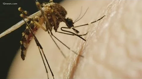 Valley seeing huge spike in mosquitoes carrying West Nile Virus
