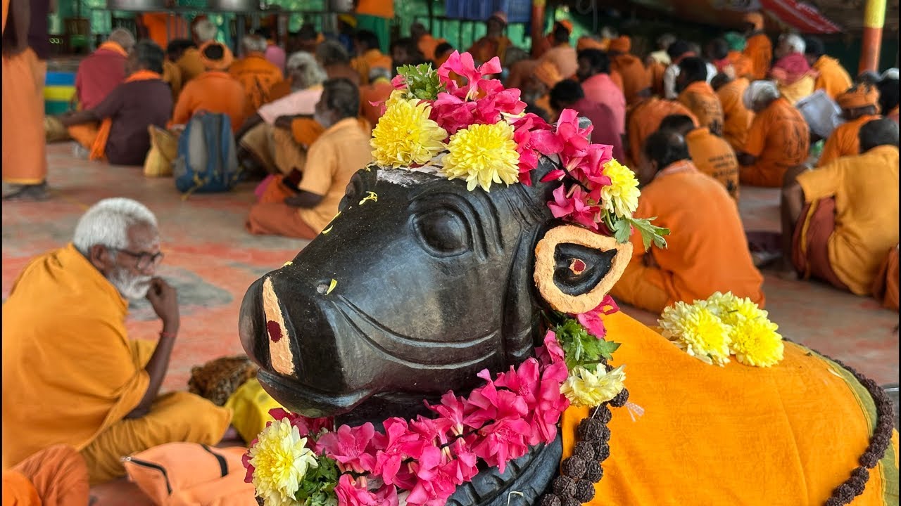 Daily Maheswara Puja- Annadanam in Arunachalam by Nityagni Trust 9283111113