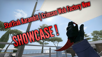 ★ StatTrak™ Karambit | Crimson Web (Factory New)