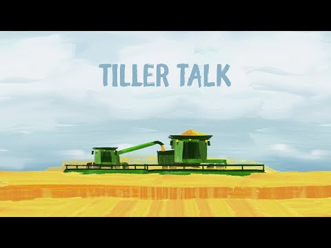 Βίντεο: Tillers On Corn - Πληροφορίες για Suckers On Corn Stalks