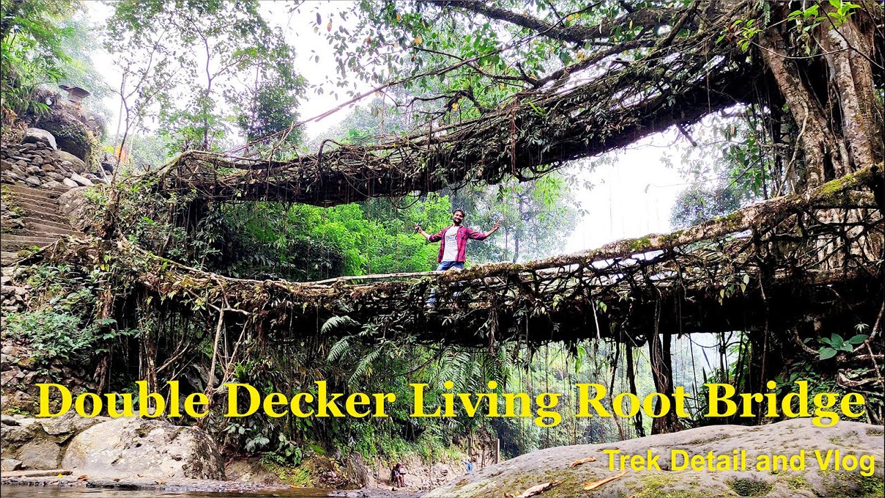 trek to double decker root bridge