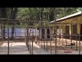 Sierra Leoneans fight Ebola