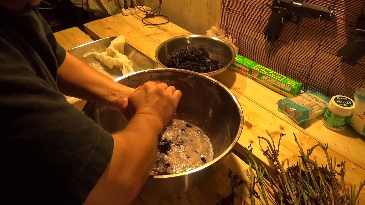 梅干し用の赤紫蘇を作る シソの葉を塩もみする あたるちゃんの 北海道 田舎ライフ 動画 Youtube