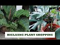 Biglaang Plant Shopping