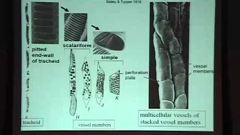 Dr. John Sperry on the importance of maintaining v...