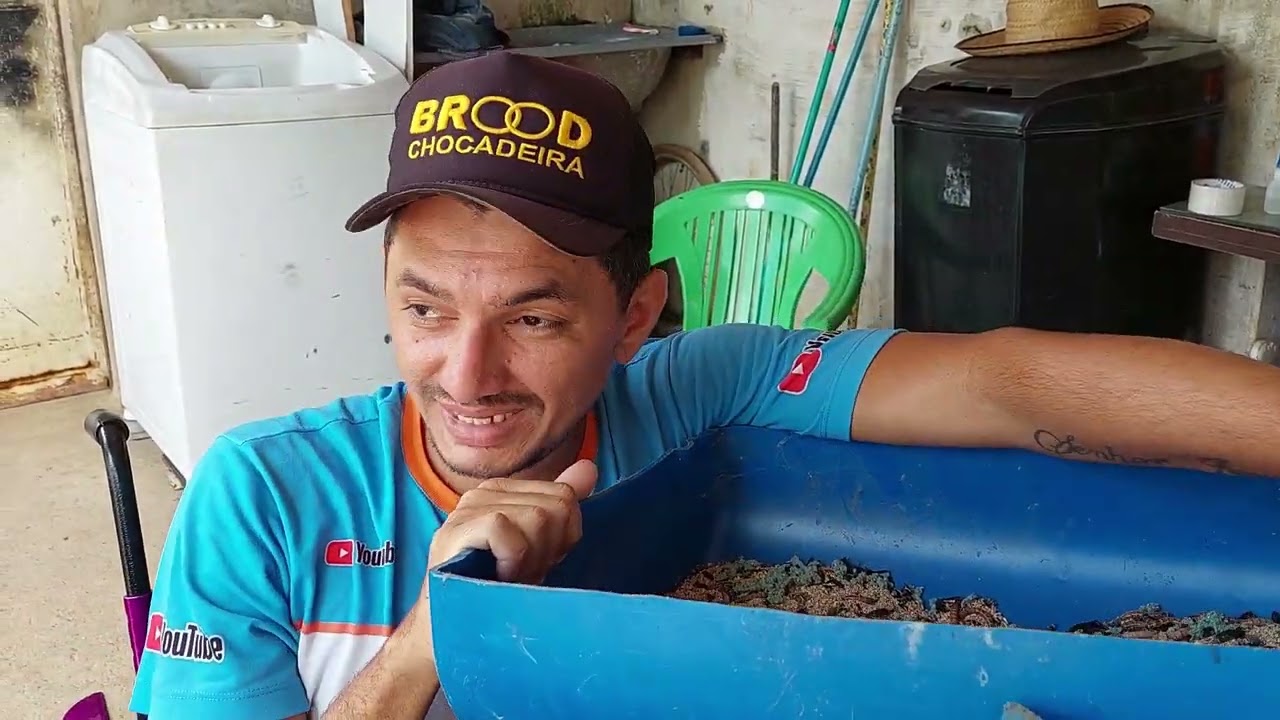 DESISTO!! Não Vale a pena criar tenebrio