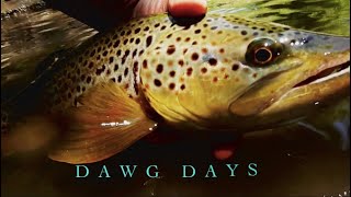 FLY FISHING-DAWG DAYS