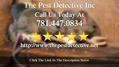 Duxbury Marshfield pest control exterminator Pembroke MA 