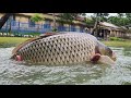 Underwater Fishing | Best Fishing Video