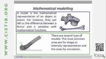 The use of bone modelling