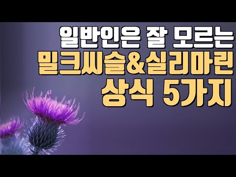 크릴오일인지질56%