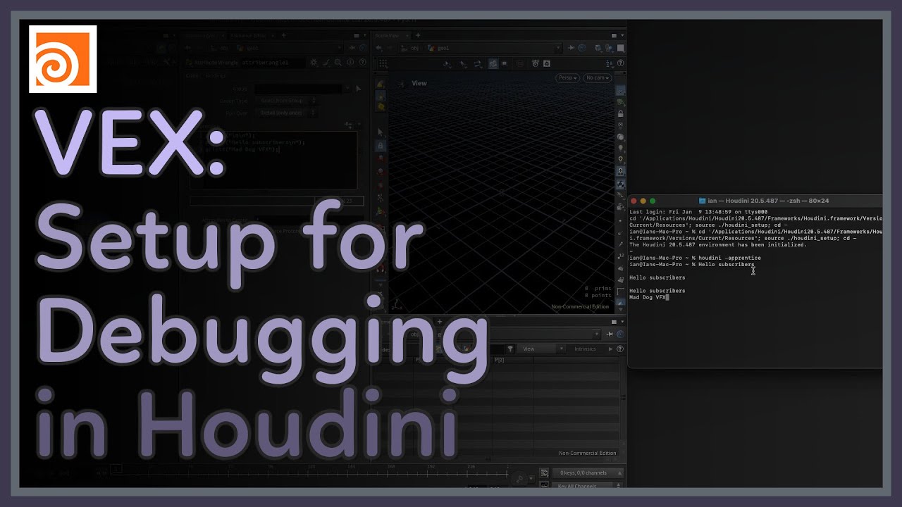 #136 VEX Setup for Debugging in Houdini - YouTube