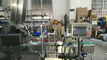 pneumatic capping machine plastic bottles capper equipment bottle cap elevator caps feeding