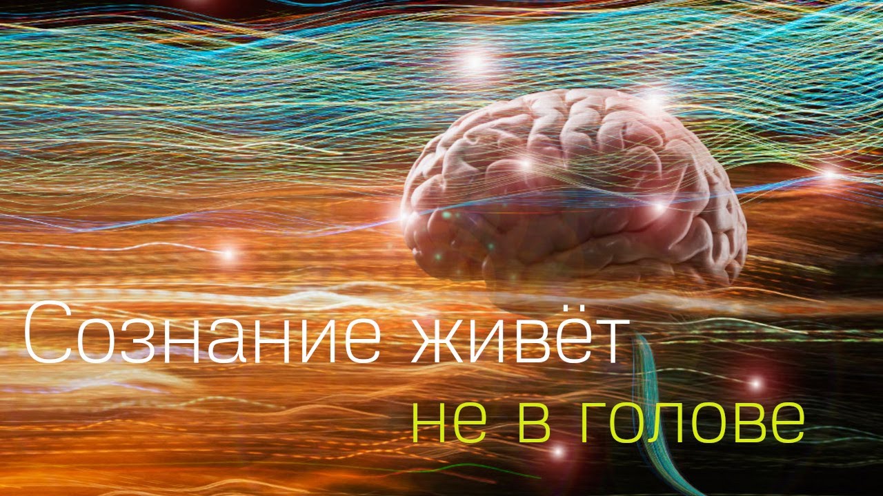 Неудобная версия науки о сознании. Сознание не живёт у тебя в голове.