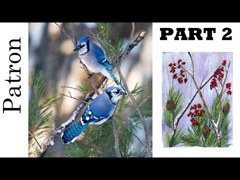 Patron Only Bluejays  Part 2  | TheArtSherpa