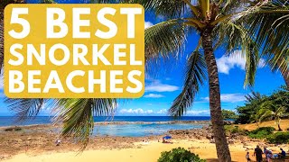 Where to Snorkel on Oahu, Hawaii | 5 Best Snorkel Spots on Oahu