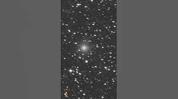 Comet C/2023 P1 (Nishimura) "EYES TO THE SKY" #shorts  #COMET NISHIMURA