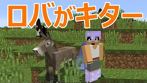 تحميل マイクラ ロバ