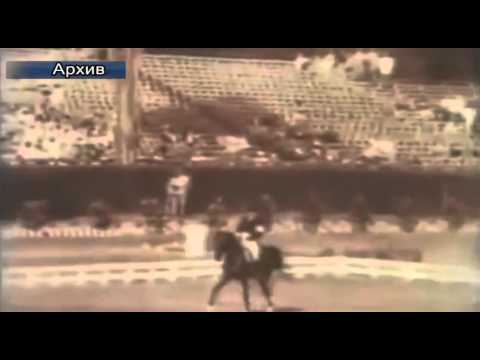 Агросектор. Развитие фермерских хозяйств в коневодстве