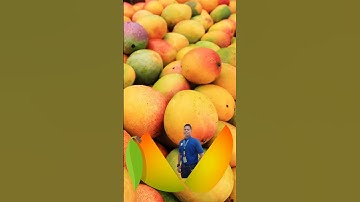 split mango #splitfruit #mongo