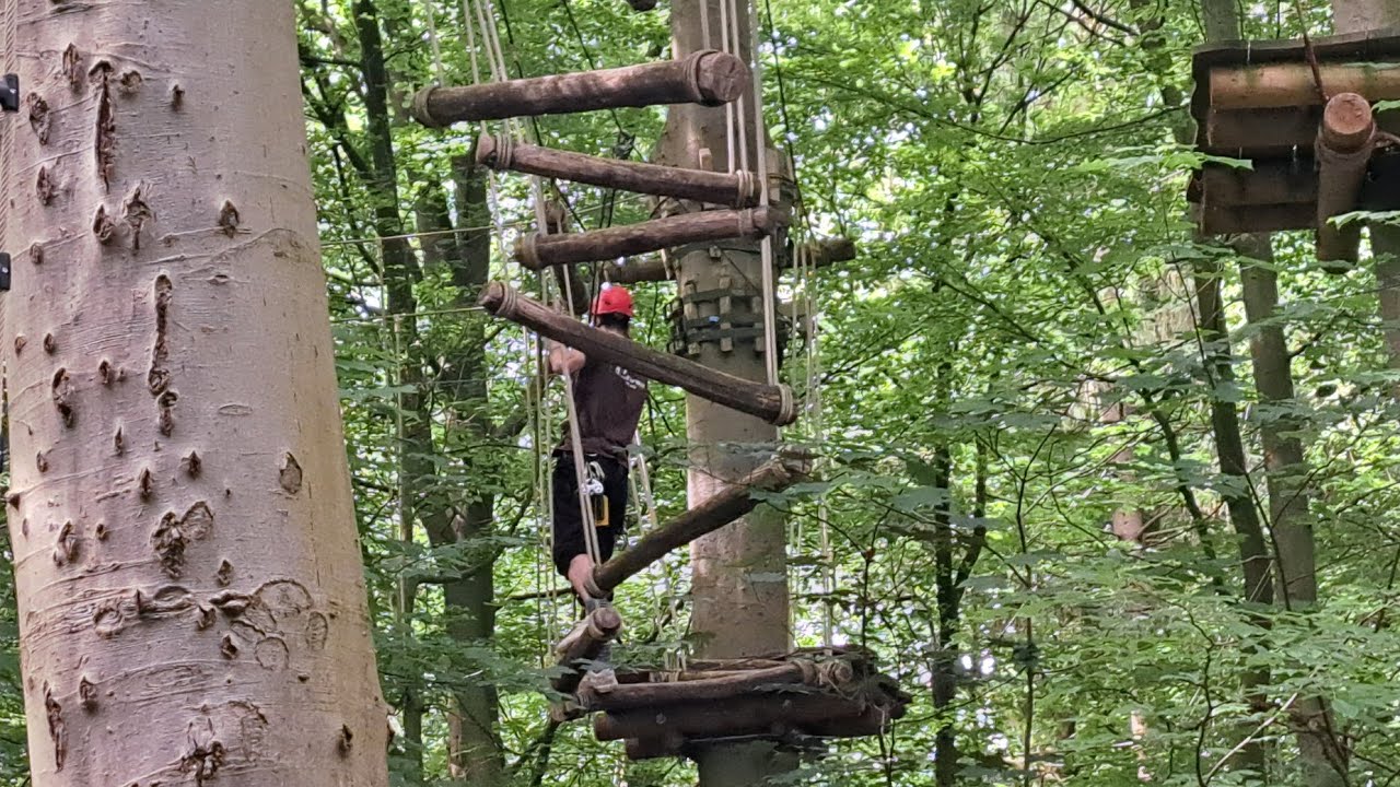 Kletterwald Hamburg