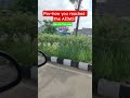 funny way to reach the aiims #aiims #aiims #motivation #motivation #norcetmcq #iitpreparation #neet