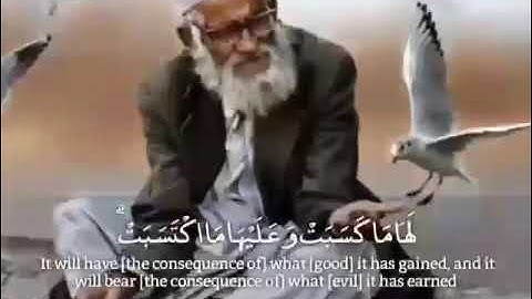 لايكلف الله نفس الا وسعها// القارئ احمد العجمي// حالات واتس اب قران كريم// حالات دينية// مقاطع انستا