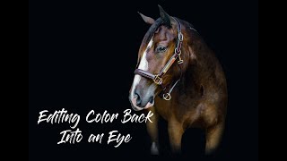 Equine Photography Tutorial - Editing Color Back Into an Eye (Photoshop CC) screenshot 2