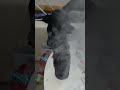 I can do it too !! (JBL Charge 5 Bass Test with Vaping)