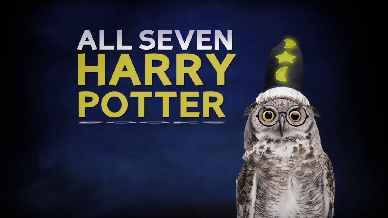 Potted Potter The Unauthorized Harry Experience YouTube