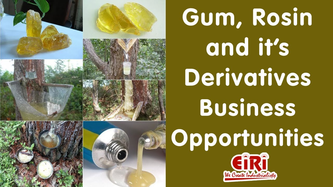 Gum, Rosin and its Derivatives Project Report