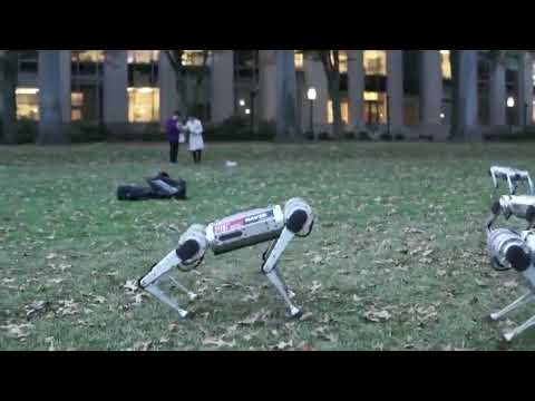 მასაჩუსეტსის ტექნოლოგიურმა ინსტიტუტმა 9 პატარა ოთხფეხა რობოტი წარადგინა