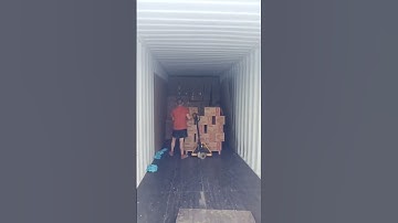 RIAKEO 1.4 pro line Container loading