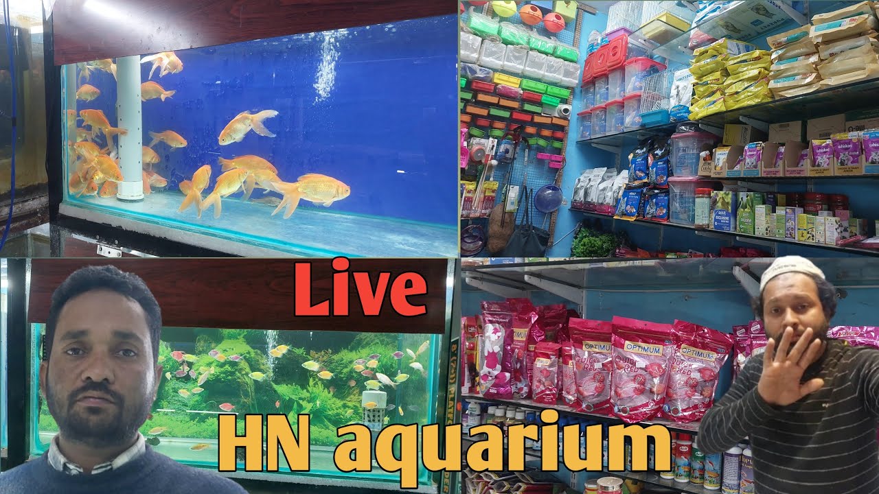 Saharanpur HN aquarium live | fish 🐟 birds 🐦 cat 🐈 food | Sawal aapke jawab Hamare