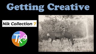 Mastering Creativity with NIK Collection 7 & the TK9 Plugin for Photoshop