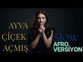 Ayva Çiçek Açmış - Slow Afro Versiyon | Cover &amp; Remix ( AI / remix / cover ) 2025 BDR Music 