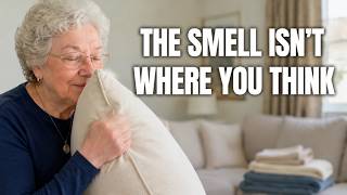 Your House Is Clean And It Still Smells: The Soft Things Nobody Ever Washes screenshot 2
